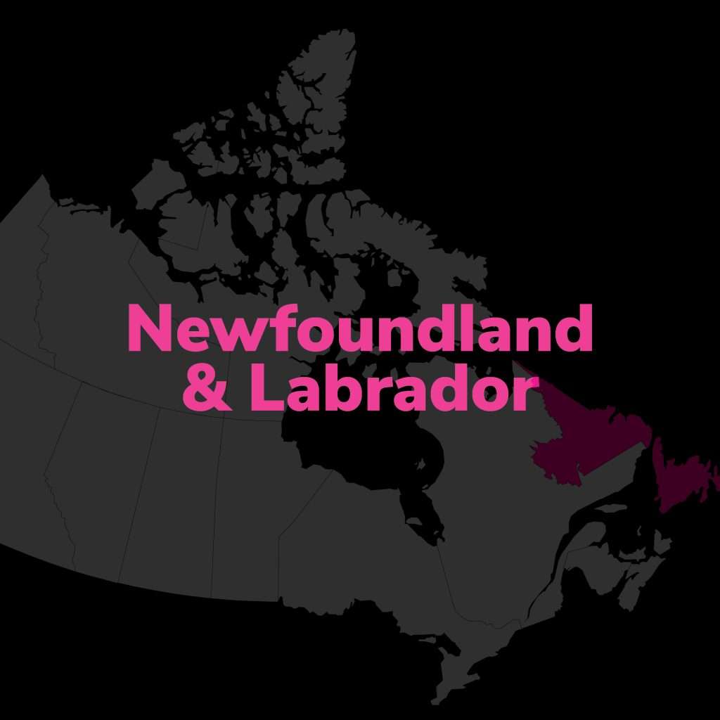 Newfoundland Online Security Guard Courses