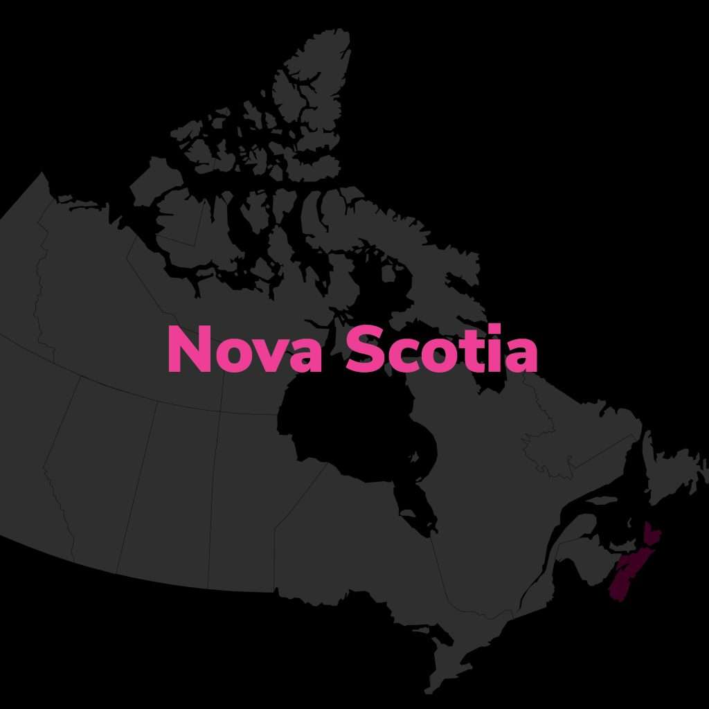 Nova Scotia Online Security Guard Courses