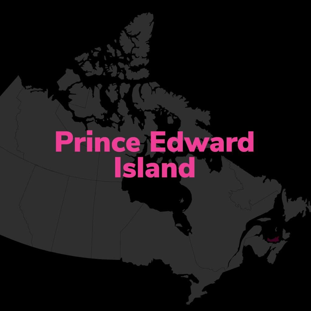 PEI Online Security Guard Courses