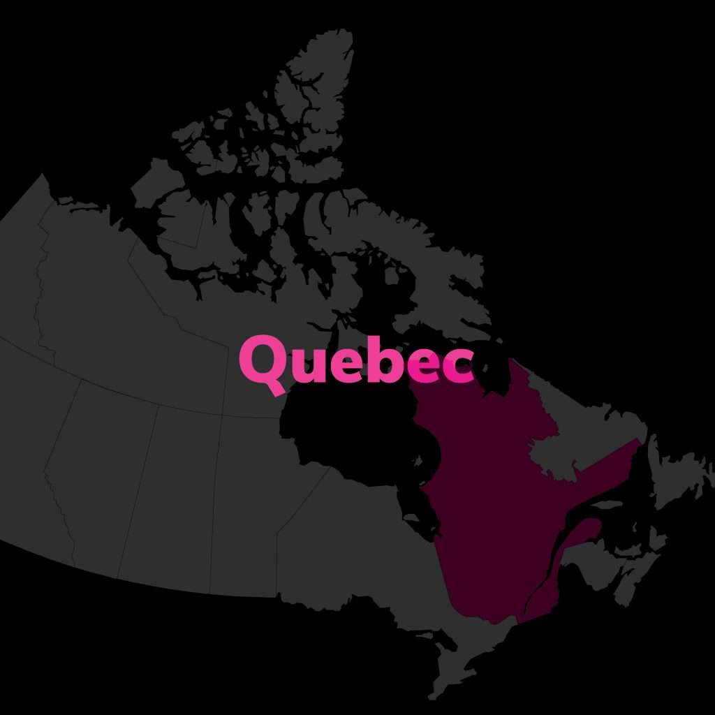 Quebec Online Security Guard Courses